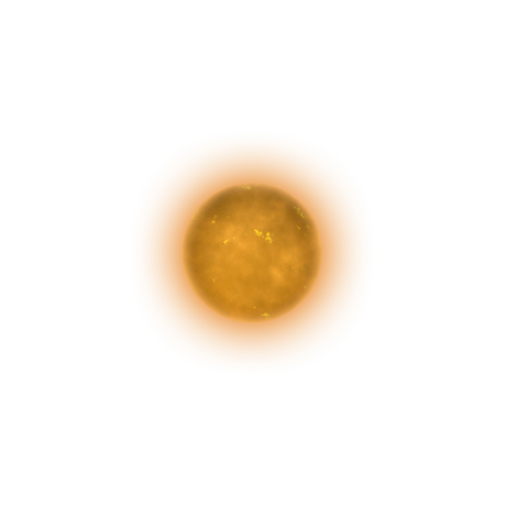 orange_dwarf.png orange_dwarf.png